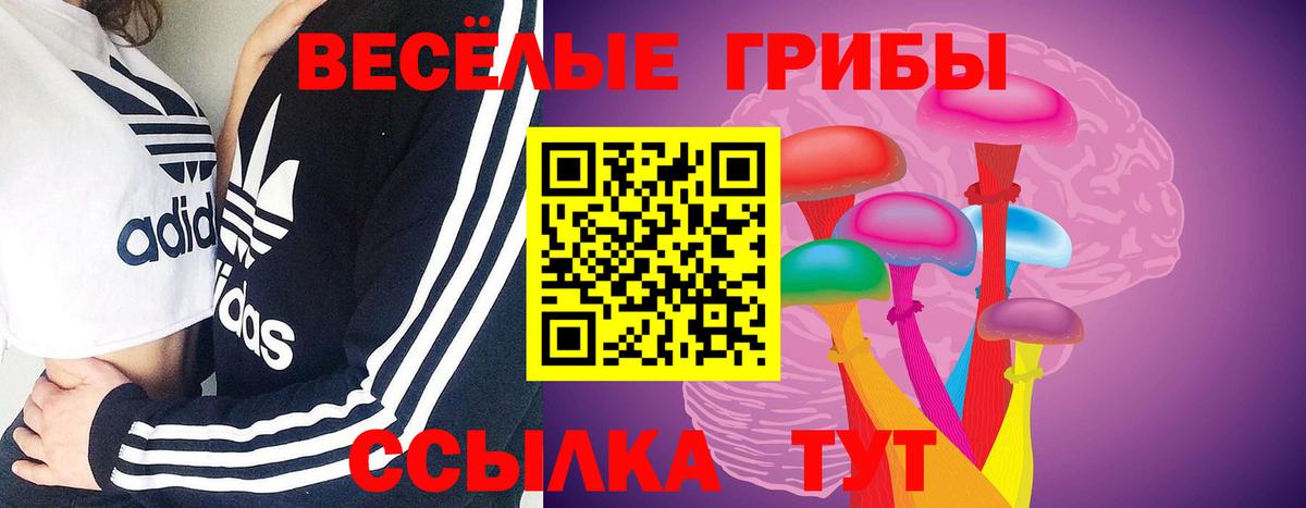 Галлюциногенные грибы Можайск