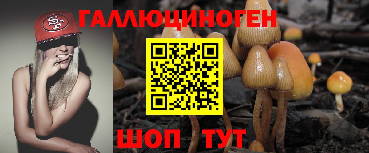 Галлюциногенные грибы GOLDEN TEACHER  Вход с VPN  Галлюциногенные грибы Psilocybe  Можайск 