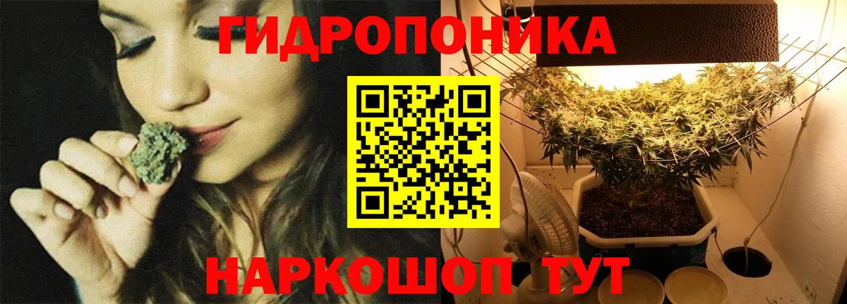 Каннабис планчик Можайск